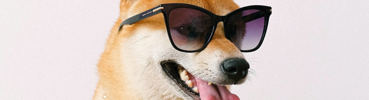 Shiba Inu Creator Deletes All His Social Media Posts News Ihodl