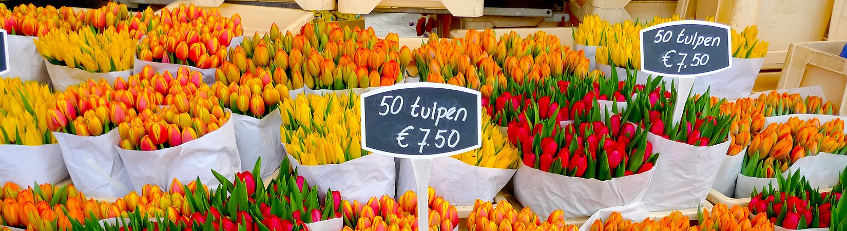 حكايات الفقاعات. مختارات