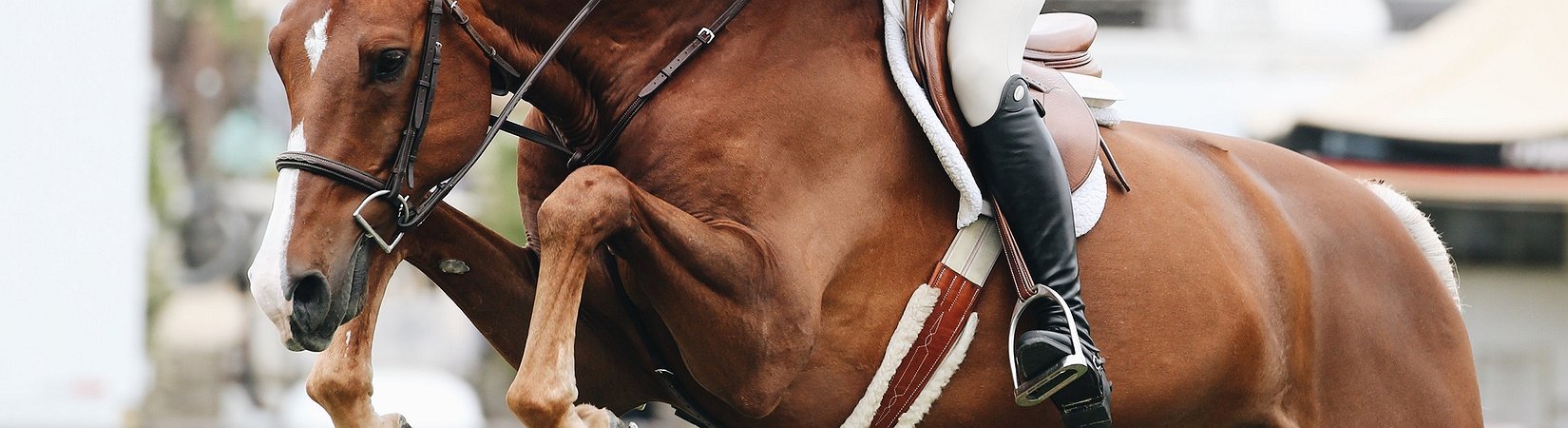 El precio del bitcoin supera los 4.000 $