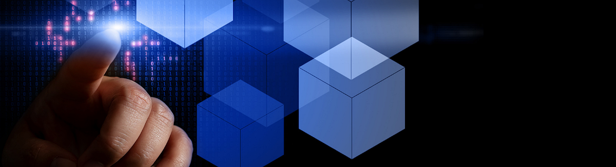 The Future of Crypto is One of Multiple Chains; Orbs and Avalanche