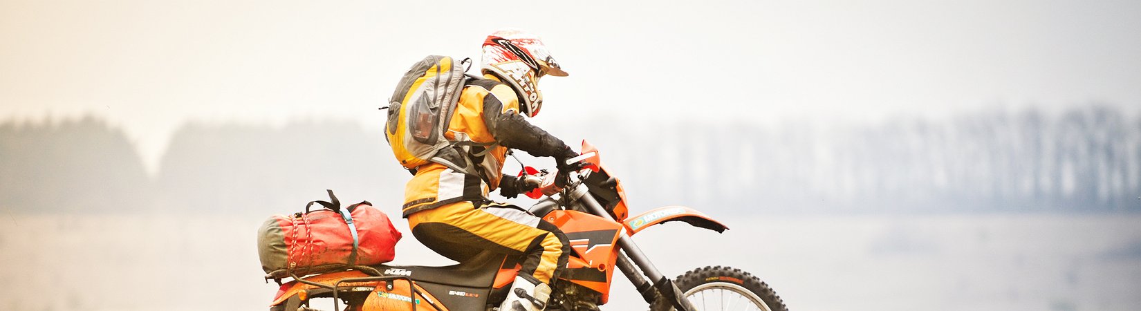 Perché il mercato azionario è così in crescita? Chiedetelo al mercato obbligazionario