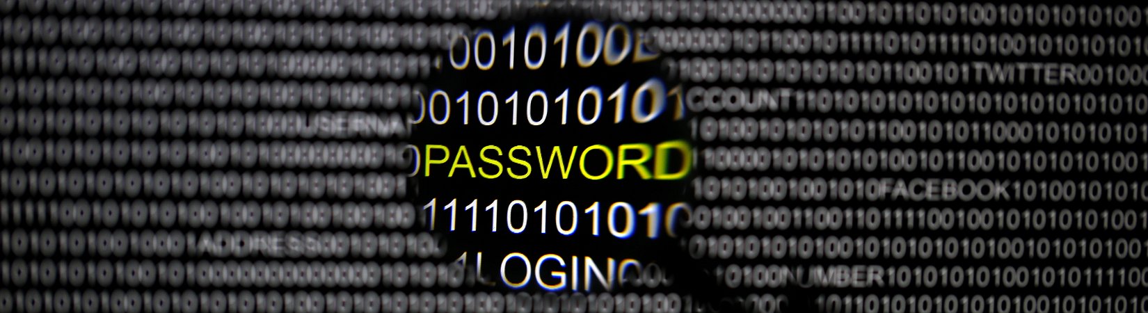 القرصنة الإلكترونية 