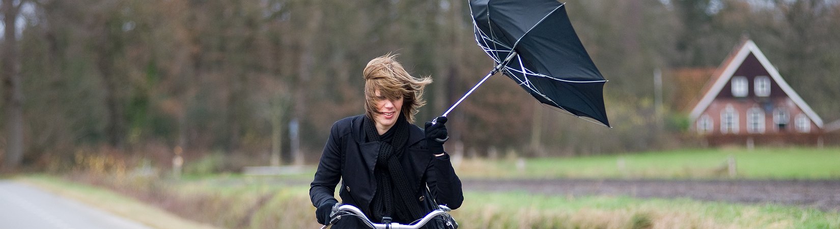 لا تصدق التنبؤات الاقتصادية