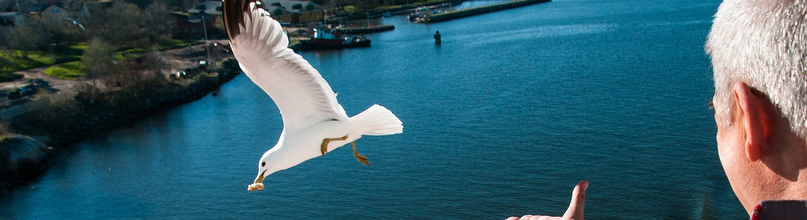 L'esperimento del reddito di base della Finlandia è troppo debole