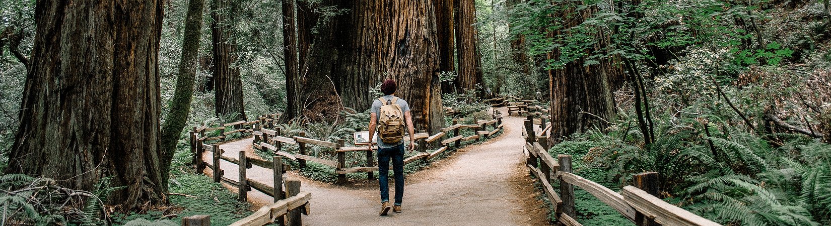 Principales noticias del 23/12/2019