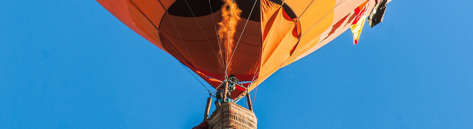 Token 0x Gains 86% in a Month After Coinbase Listing 