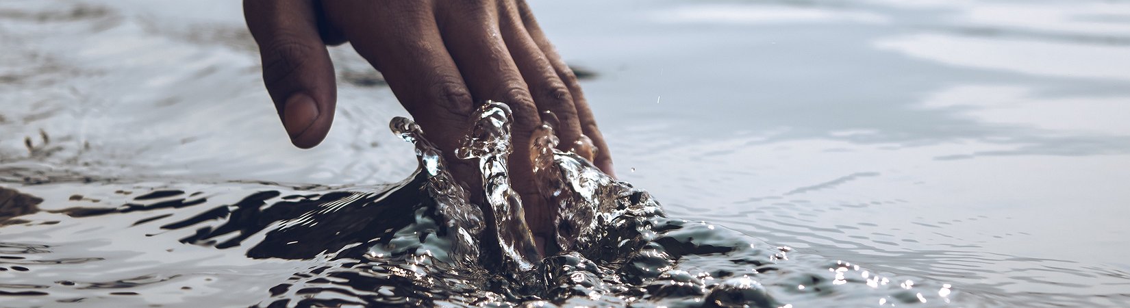 El precio del bitcoin alcanza los 12.000 $