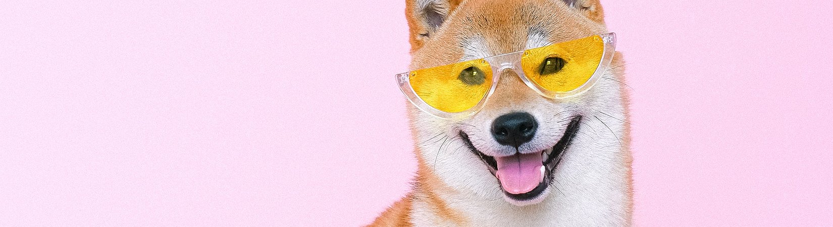 Revolut planea añadir soporte para Dogecoin