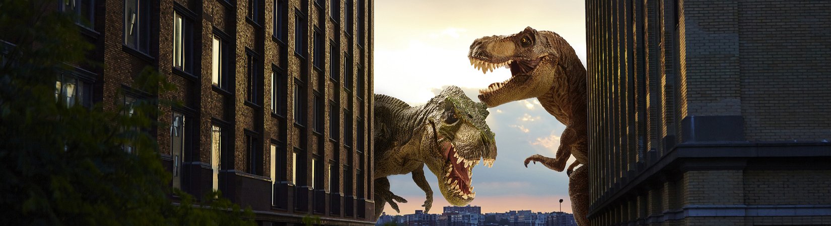 Visa & Mastercard: Two Dinosaurs That Can’t Decide