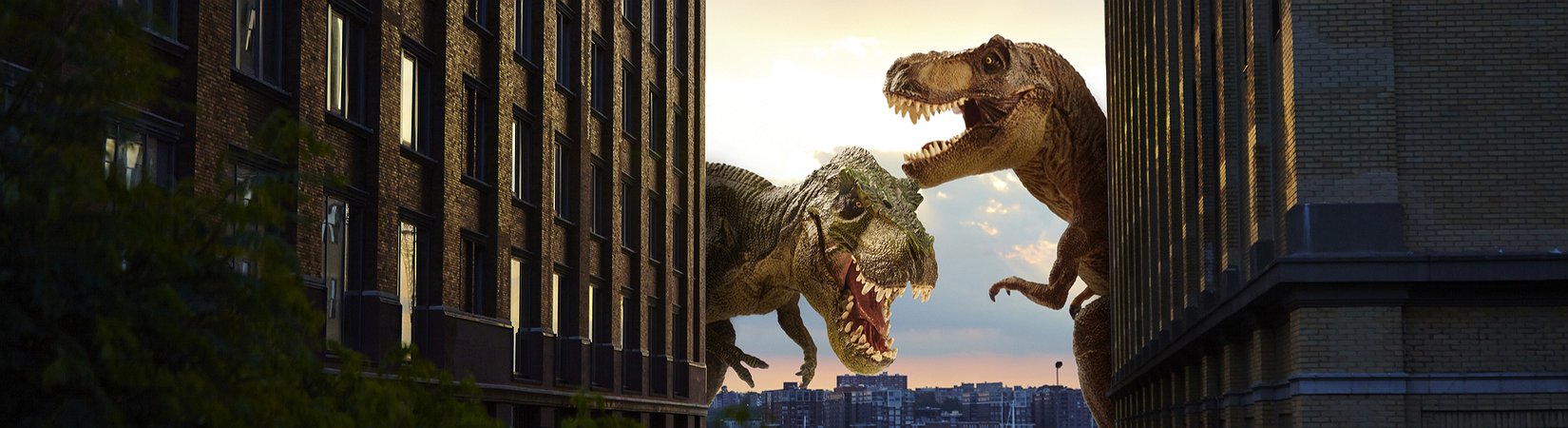 لماذا ترفض Visa و Mastercard العملات المشفرة (ولكن تقبل البلوكشين)