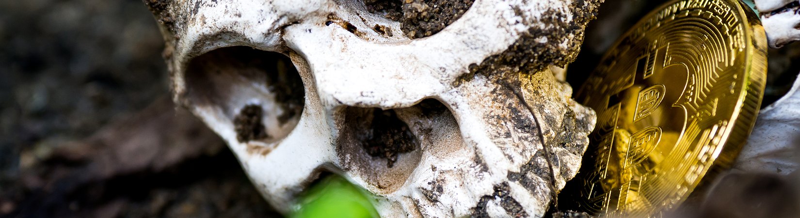 هل يجوز القضاء على البيتكوين