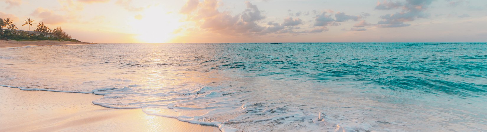 OpenSea CEO Denies Insider Trading by Former Employee