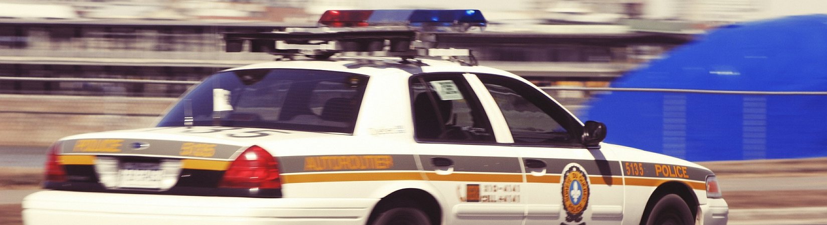 Head of OneCoin Scam Scheme Arrested in the U.S.