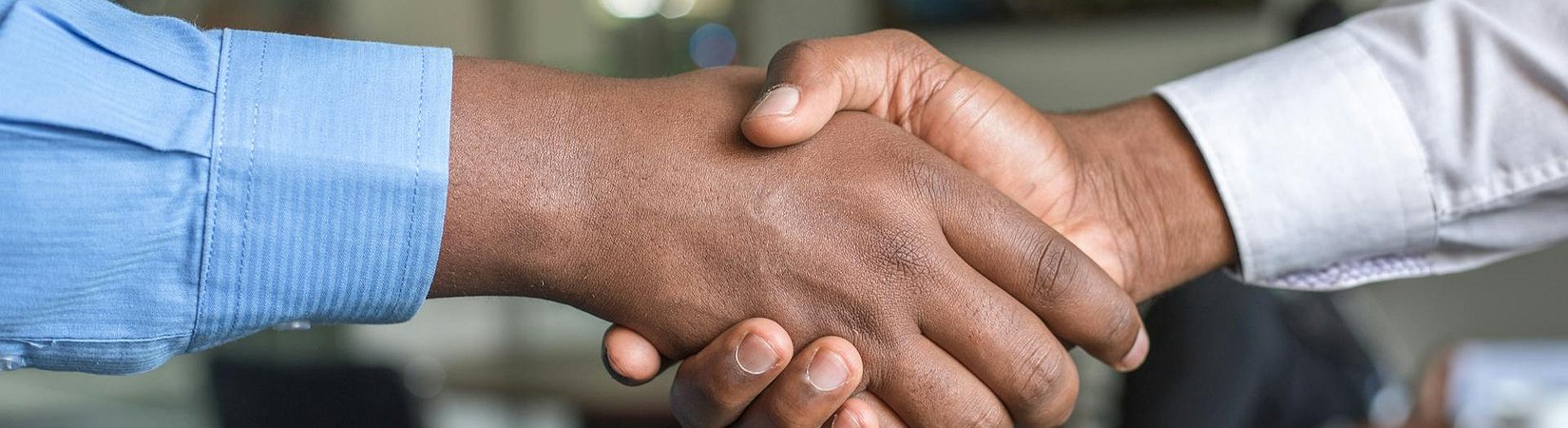 Stripe in Talks to Acquire Stablecoin Platform Bridge