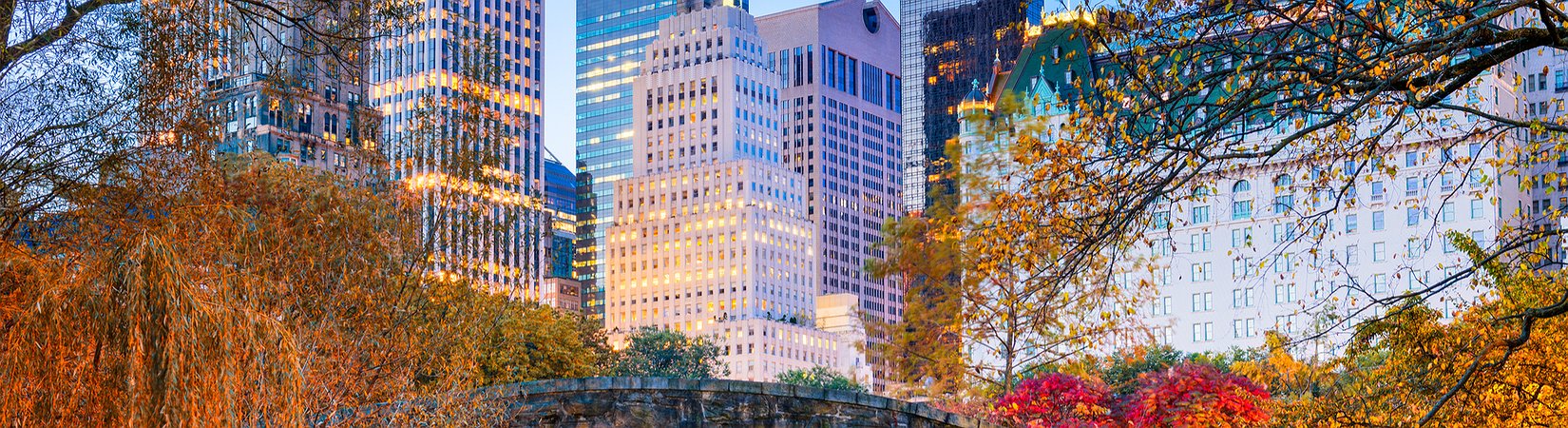 Key Facts of Past Weekend, November 19-25