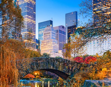 Key Facts of Past Weekend, November 19-25