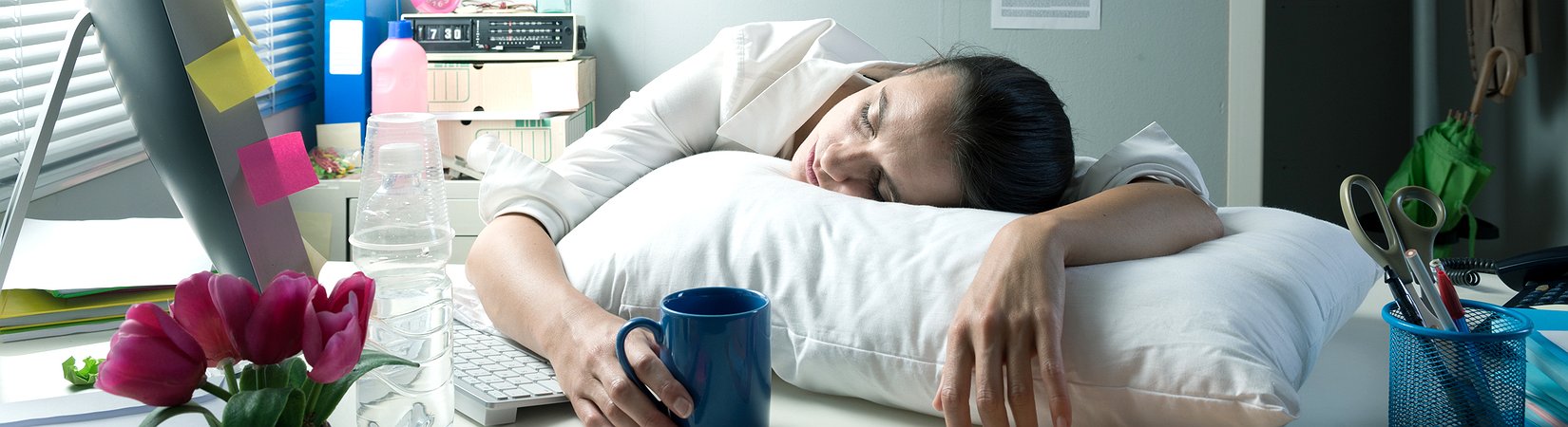 Los secretos de la alta productividad