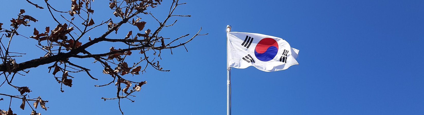 Bitcoin Price in South Korea Falls Below its Value on Global Exchanges