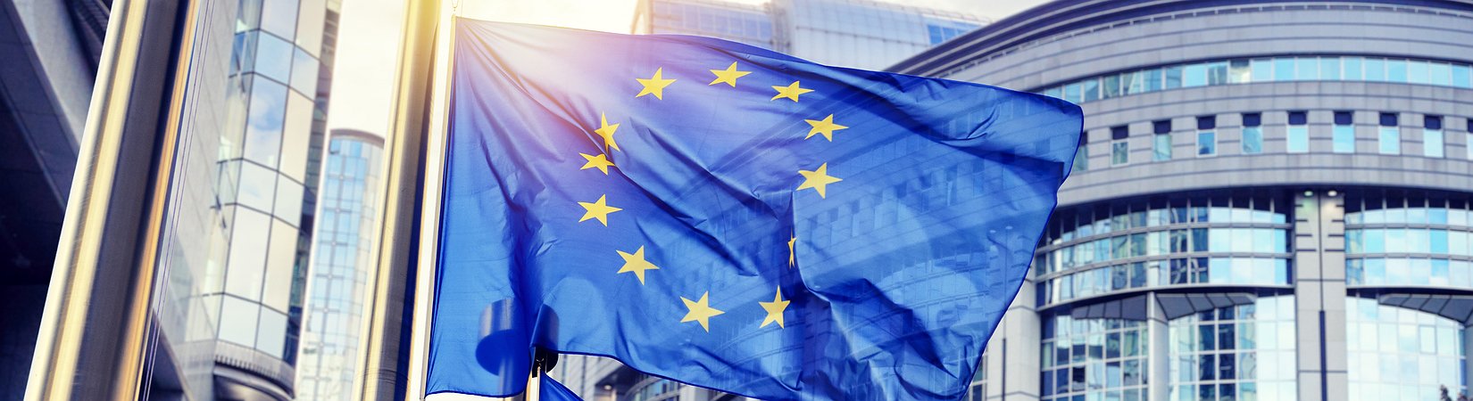 Parlamento Europeu aconselha a «não proibição» das criptomoedas
