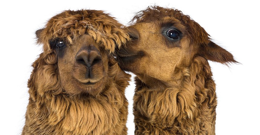 EOS Not a Blockchain? You Say What?