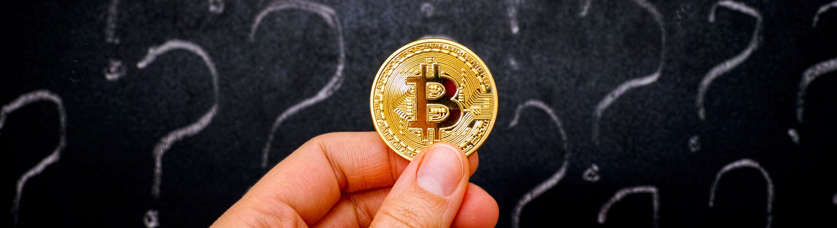 Survey: What Americans Think Of Crypto