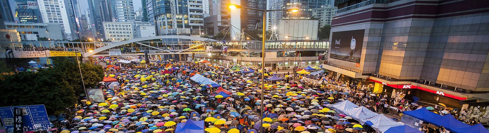 منافع الديمقراطية