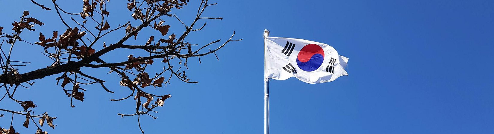 Crypto.com se expande a Corea del Sur