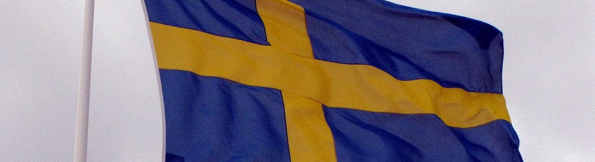 Svezia: “Attenzione a questi rischi legati alle Ico”