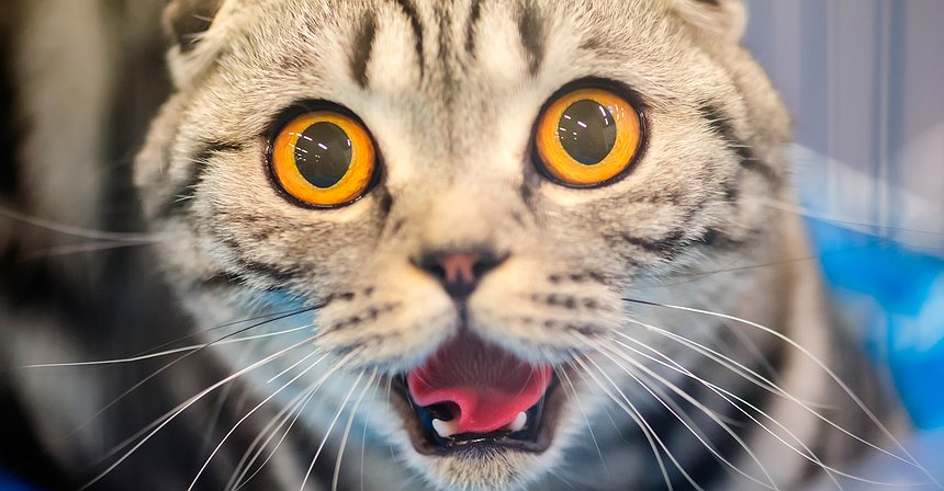 Tudo o que precisa de saber sobre as taxas de juro negativas – Parte II