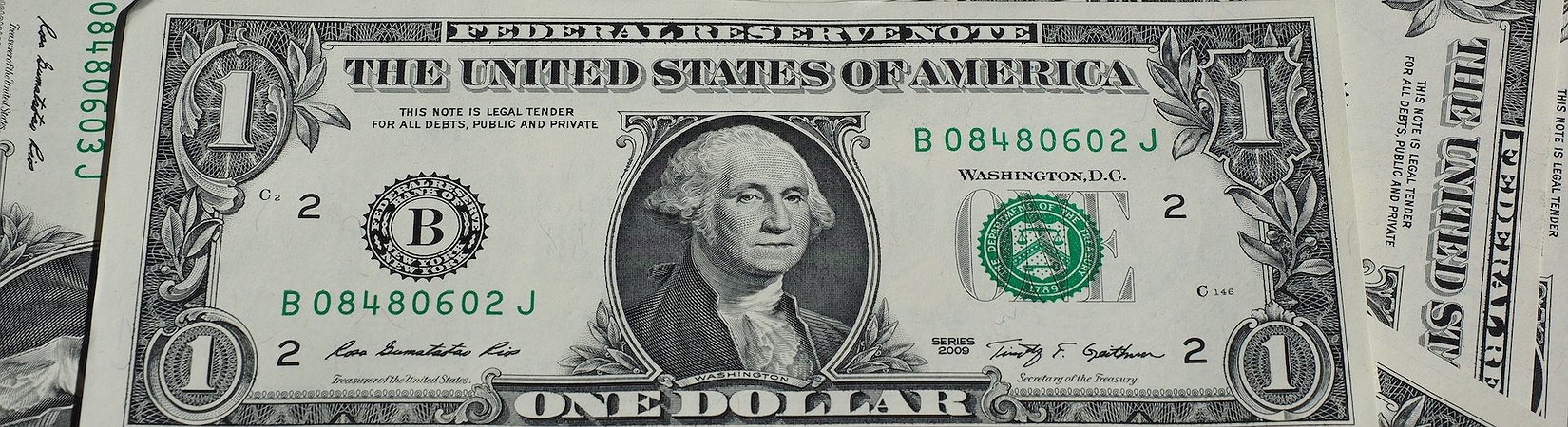 Fed Member Criticizes Launch of Digital Dollar