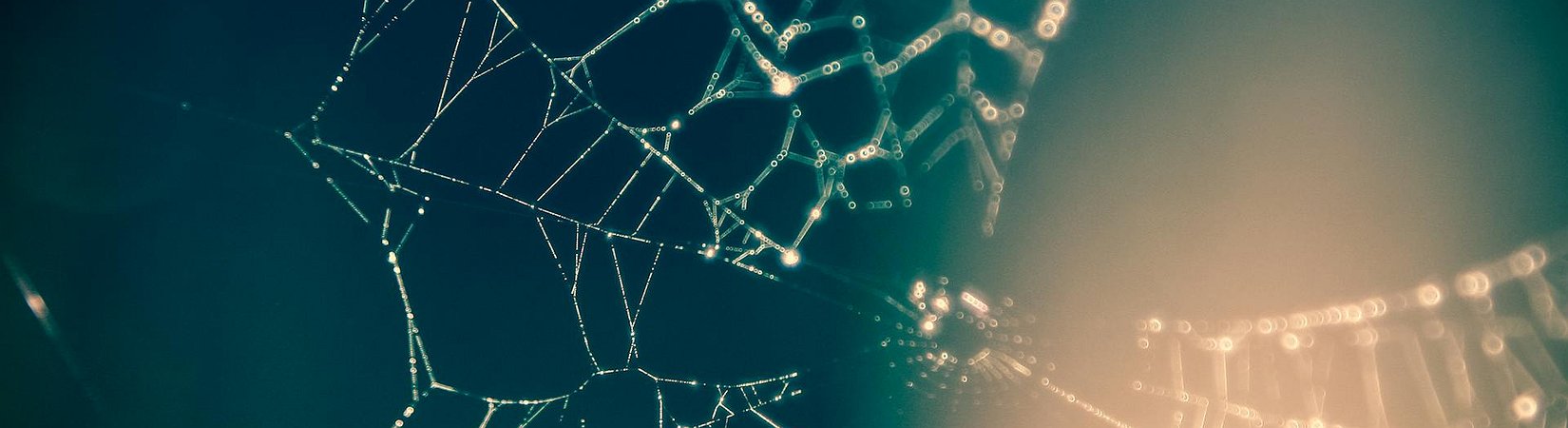 Tether lanza su stablecoin USDT en la red de TON