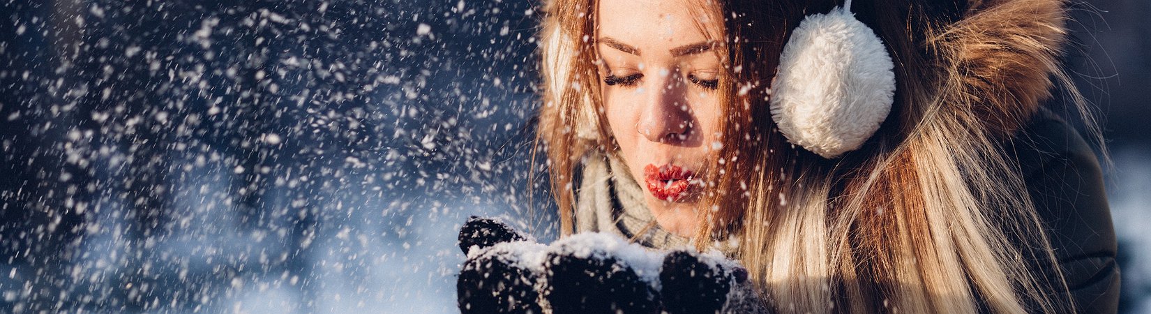 Experts' Take: What Altcoins to Invest in December