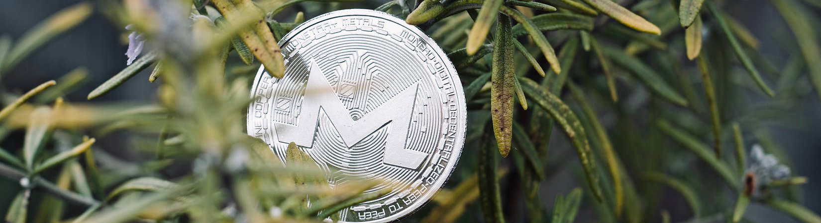 Revisión del mercado de las criptomonedas del 18/04/2018