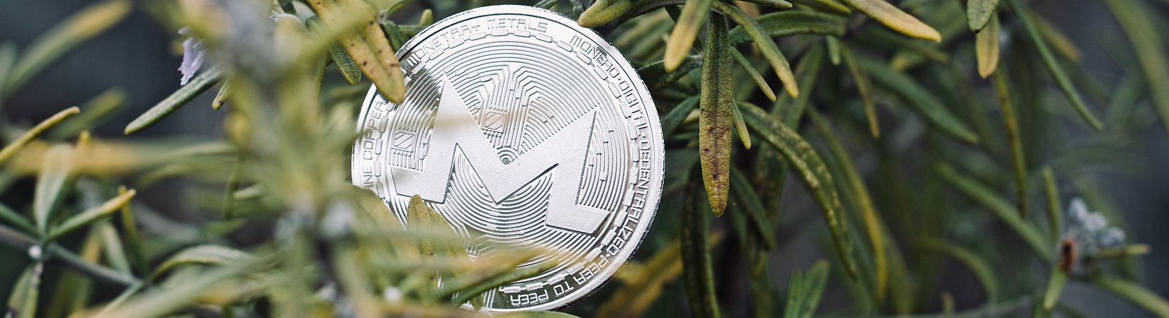 Criptomoedas: as últimas notícias de hoje, 18 de abril