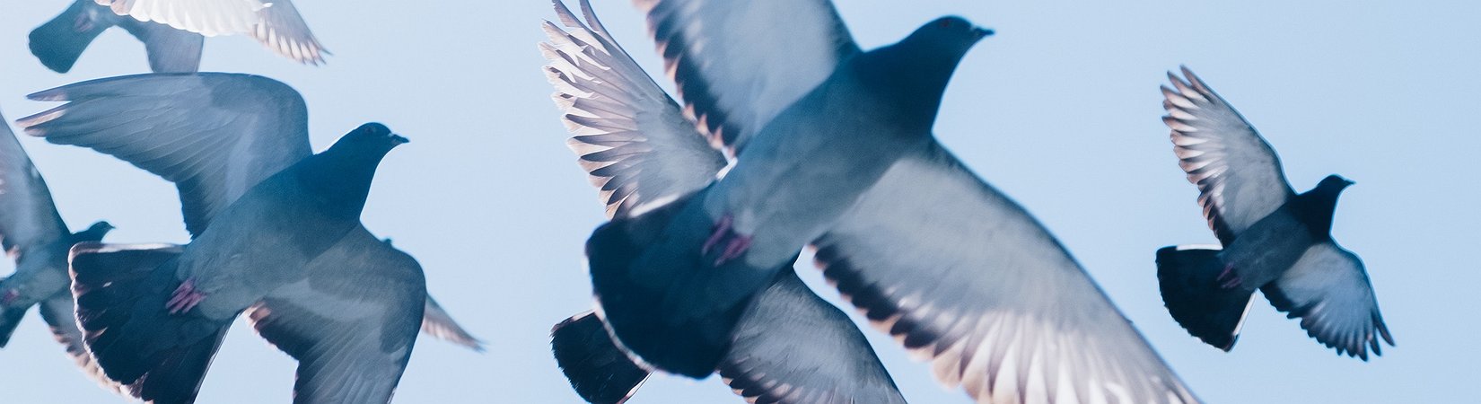 El bitcoin empieza a recuperarse después de varios días de pérdidas