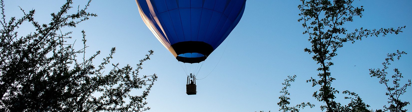 Ether Hits a New All-time High