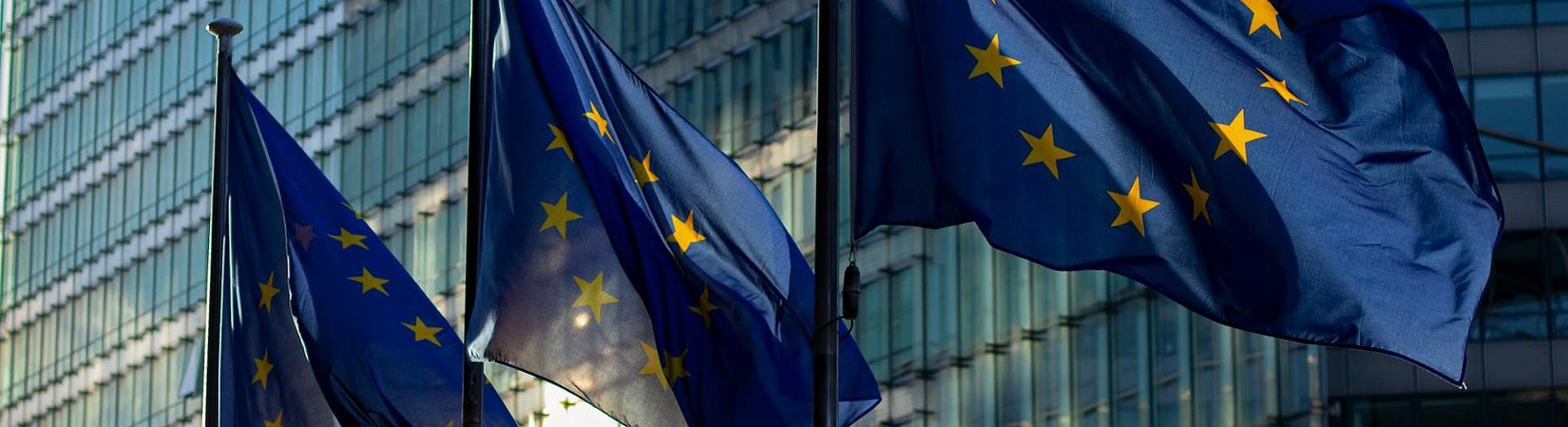 La UE planea centralizar la supervisión de las criptomonedas bajo la AEVM