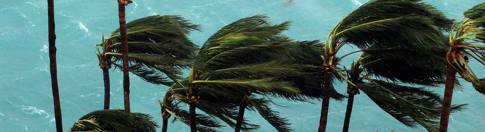 El huracán Matthew costará unos 15 mil millones de dólares a EE. UU.