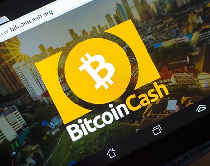Identificada una vulnerabilidad crítica en el Bitcoin Cash