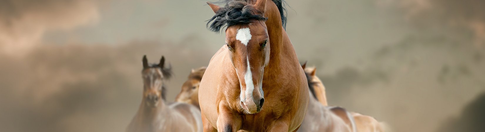 DX Exchange se pone en marcha: desde la tecnología de Nasdaq hasta los tokens de valor