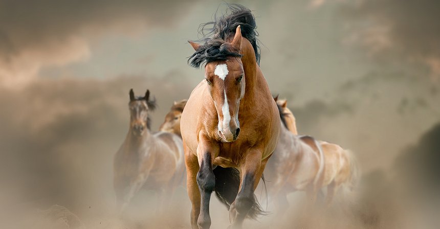 مقابلة: أميديو موسكاتو من DX Exchange عن Nasdaq وتوكن DXCash وبورصات العملات المشفرة