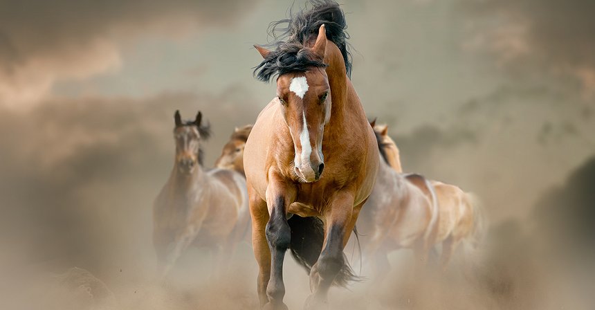 DX Exchange: Dopo la tecnologia del Nasdaq, in arrivo i security token