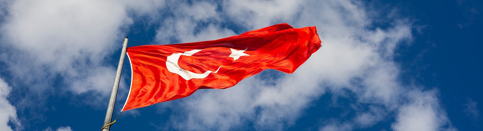 The Bank of Turkey Plans to Launch a CBDC Next Year