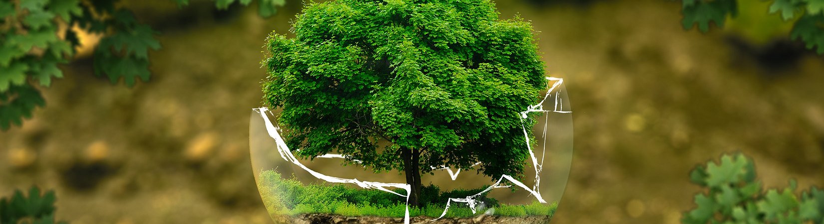 Rockefeller detta le nuove regole del mercato