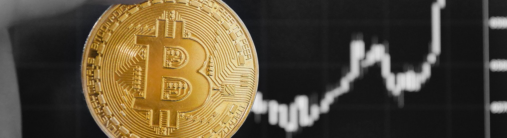 Novogratz: If Bitcoin Doesn't Go Up, I Might Hang My Spurs