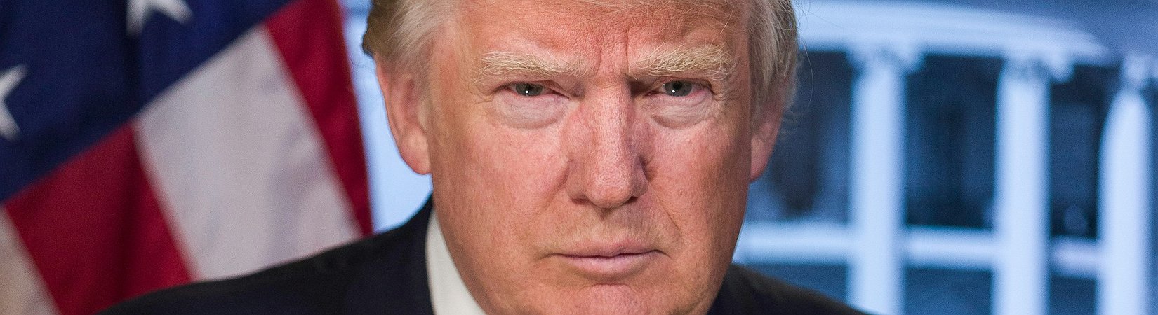 World Liberty Financial Plans to Launch a Token