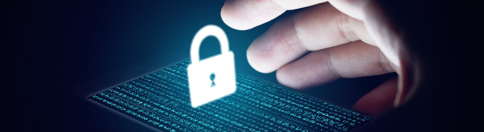 The Future of Identity