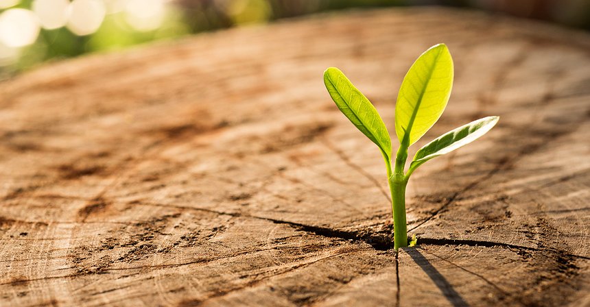 First Crypto ETF Ready, SEC Next? 