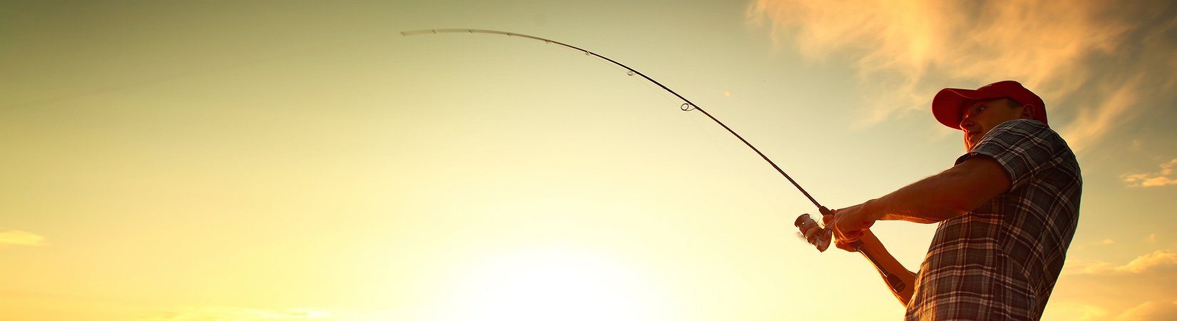 تأثير الطعم في الاستهلاك