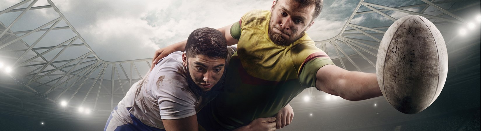 "Majority of Businesses Using BCH to Refer to Bitcoin ABC"